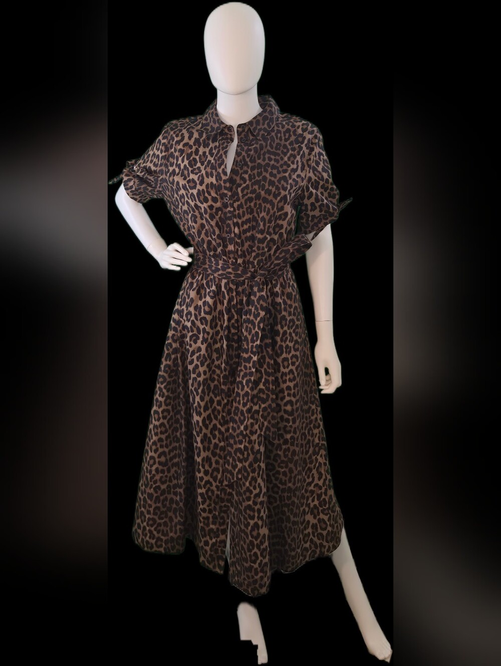 H&M Brown Leopard Print Maxi Dress